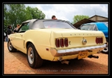 Mustang Cab